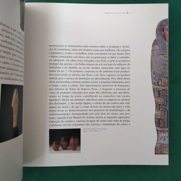 A Farmácia e o Medicamento - Uma História Concisa - Paula Basso (CTT)