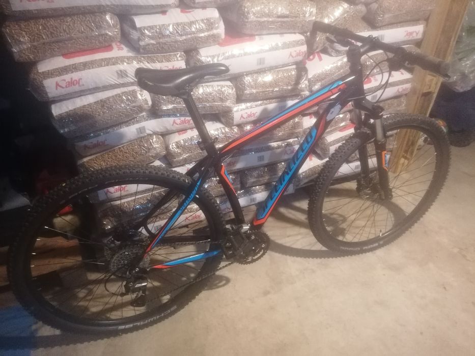 Bicicleta BTT Specialized