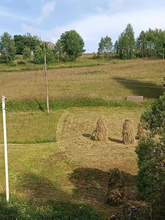 Продаж земельної ділянки під відпочинкові будиночки!