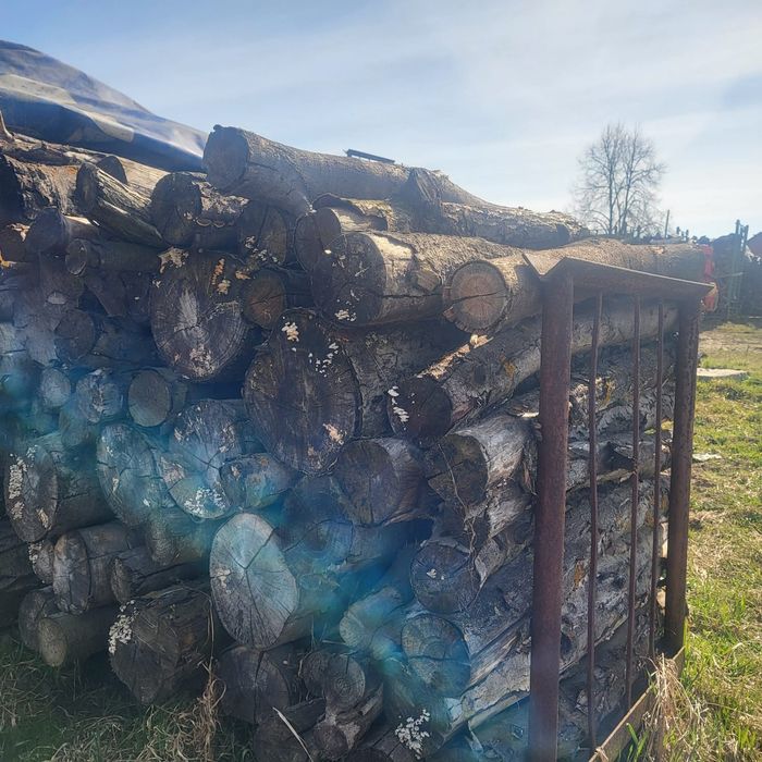 Drzewo opałowe Osika, Brzoza