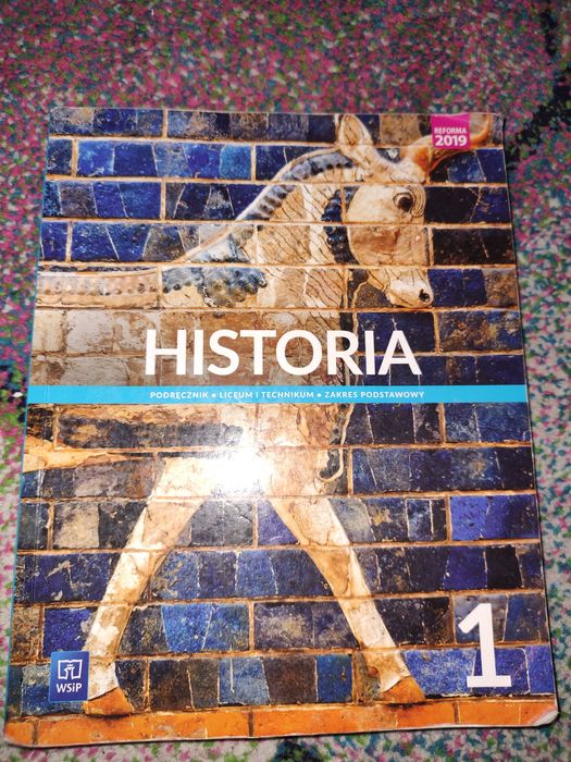 Historia WSiP 1 zakres podstawowy