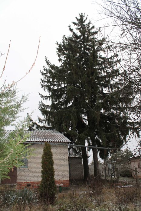 Продаж будинка 75м² с. Високий