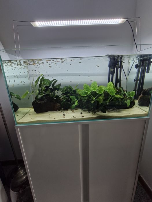 Aquário todo equipado
