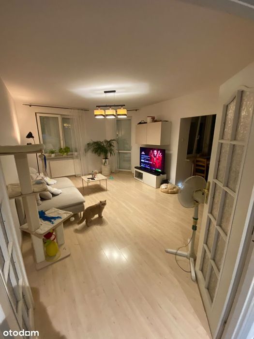 53,6m² z ogromnym TARASEM z BOKSEM GARAŻOWY w HALI|Poznań, ul. Polanka