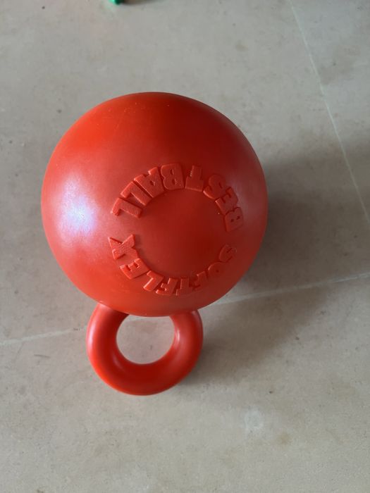 Cães - Brinquedos água