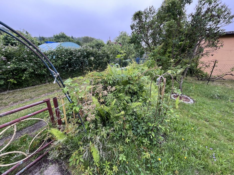 Działka ROD 322m² Jędrzychów – prąd, woda, studnia, pełne wyposażenie – gotowa od zaraz! - Widok 3