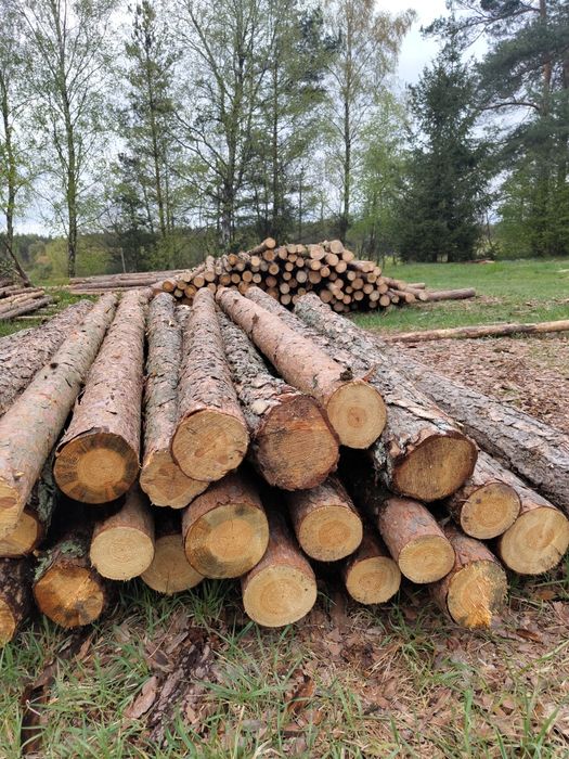 Ogród,Słupki,Słupy,Ogrodzenie