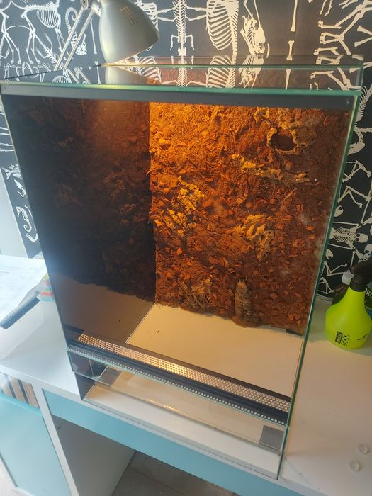 Terrarium szklane 40x40x60