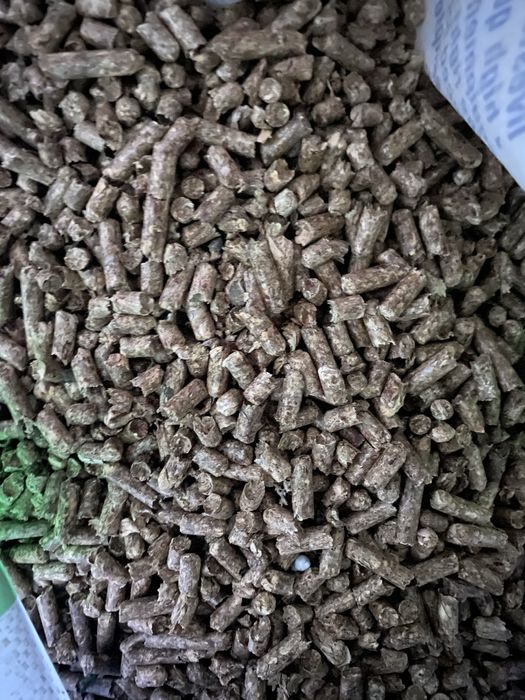 Пілета ( гранули) з сосни