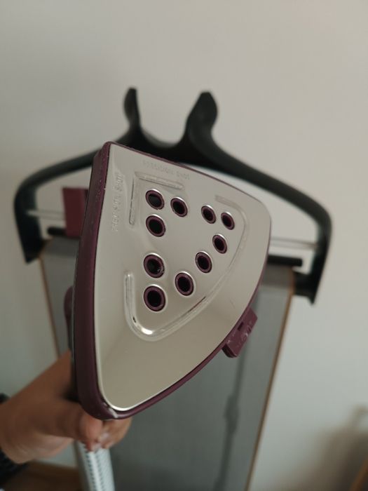 Ferro a Vapor Vertical ROWENTA Expert Precision IS9500D1
