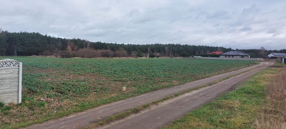 Działka budowlana 1077 - 1189 m²  Poddębice ul. Wierzbowa i Brzozowa - Widok 2