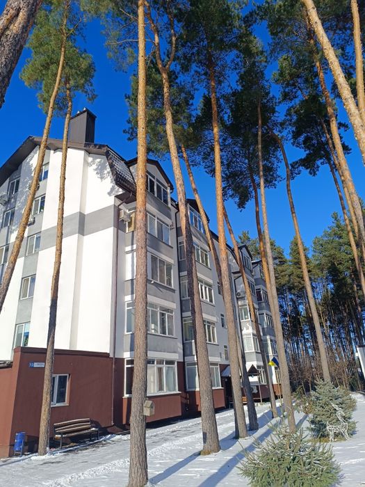 ЖК Идея 2комн, всегда тепло!Бортничи