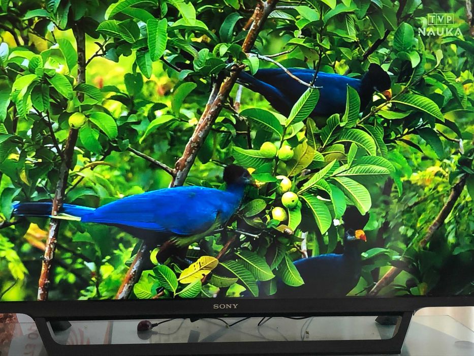 Telewizor marki Sony 40 cali, made in Japan