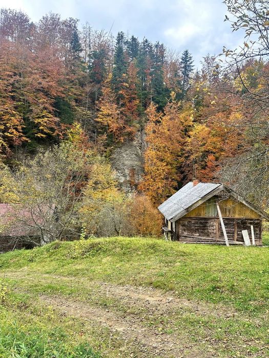 Продається земельна ділянка в Карпатах с.Виженка