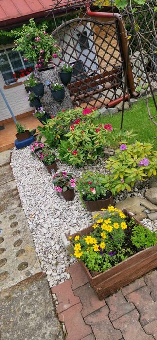 Działka rekreacyjna ROD