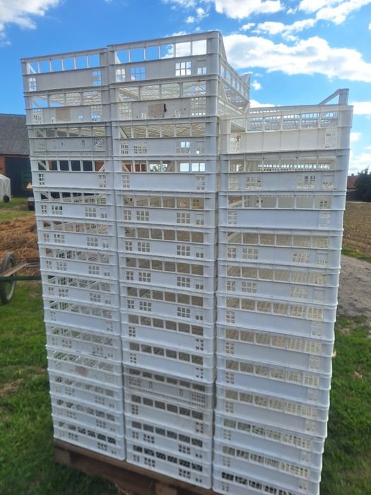 Skrzynki plastikowe 60*40*12