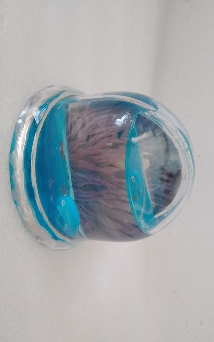 Globo Aquário para fotos