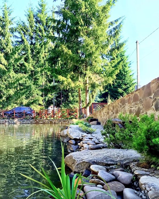 Подобово будинок в с. Шаян Закарпатье Карпати Велятино