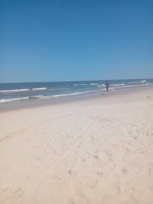 Pokoje Gościnne u Piotra