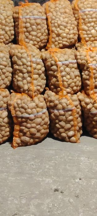 Ziemniaki Jurek 35-50