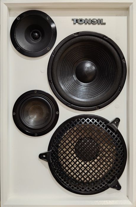 Głośniki Tonsil ZG 40C + Yamaha RX-V363