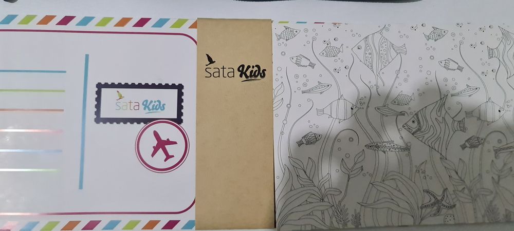 Conjunto de avião.  Sata. Novo