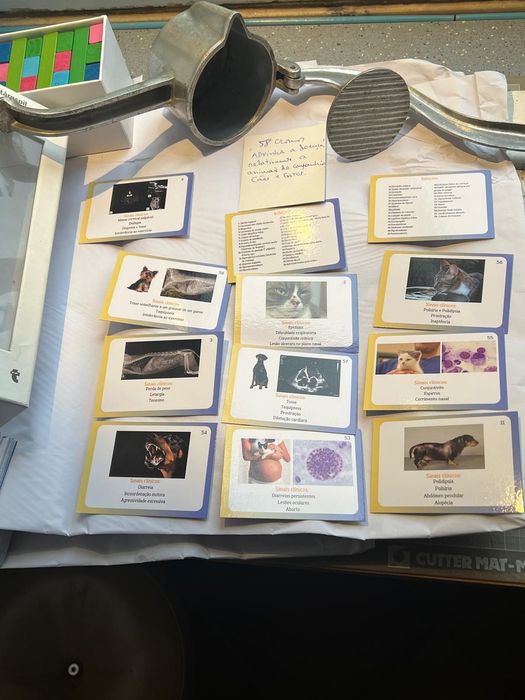 Adivinha a doença - cromos relativamente a casa e gatos