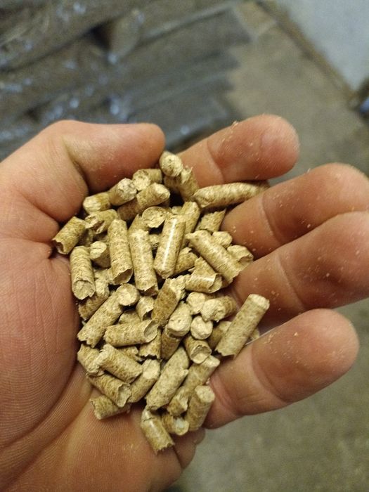 Promocja. Pellet dębowy premium holzexport