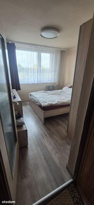 Wynajmę mieszkanie w centrum Zabrza.