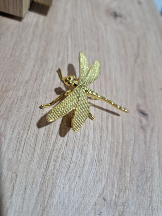 Libelinha dourada.  Nova