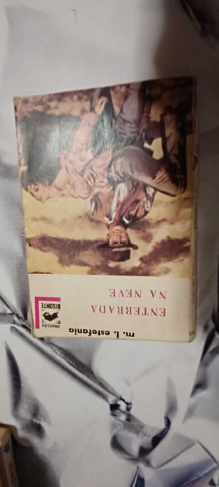 Livro _Enterrada na Neve_ de M.L. Estefanía