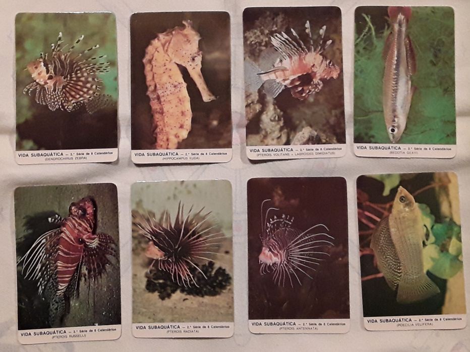 Calendários de bolso 1987 - Tema: Vida Subaquática