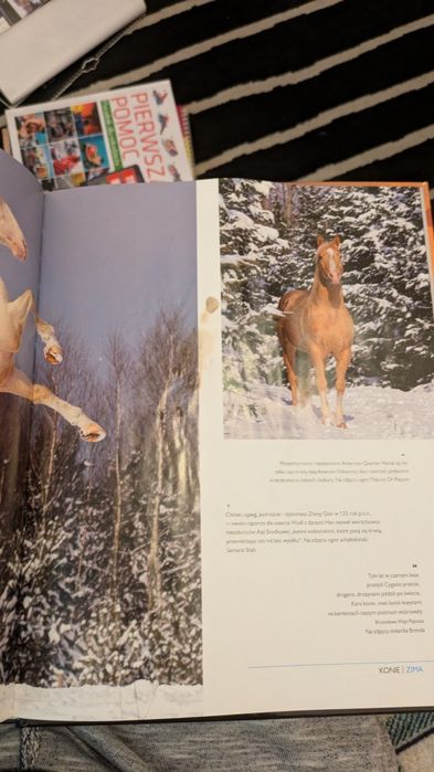 Sprzedam atlas koni
