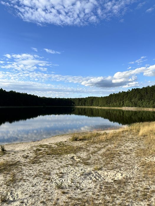 Mieszkanie, apartament Swornegacie,Kaszuby, Bory Tycholskie