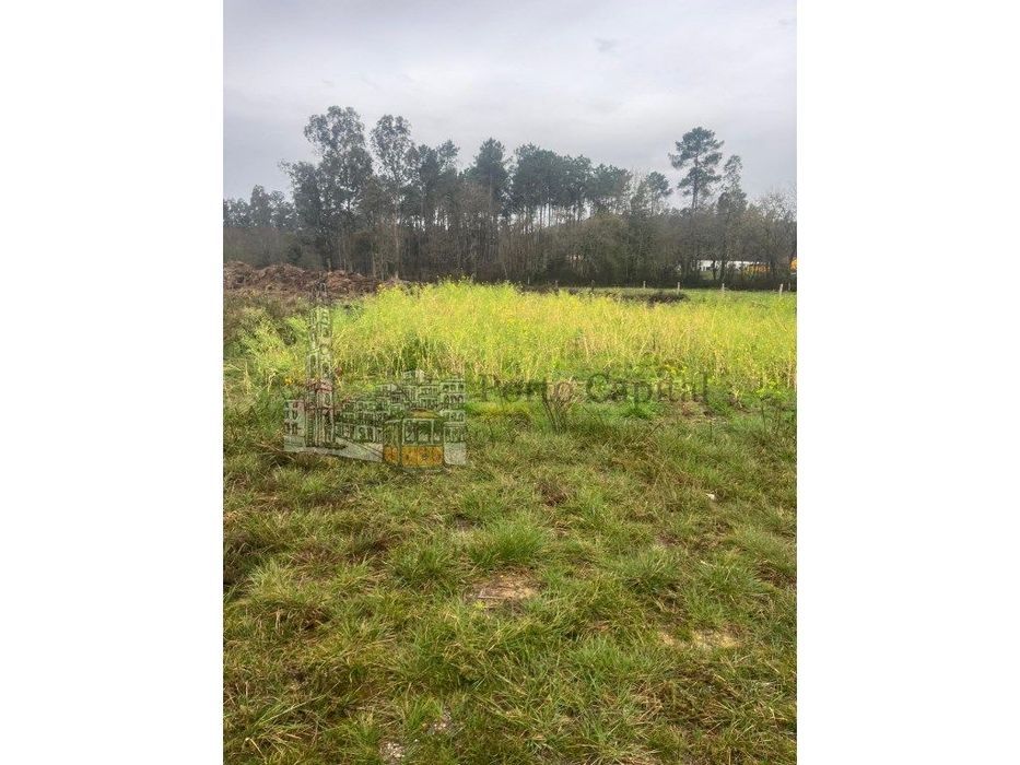 Excelente Terreno Com 6000M2
