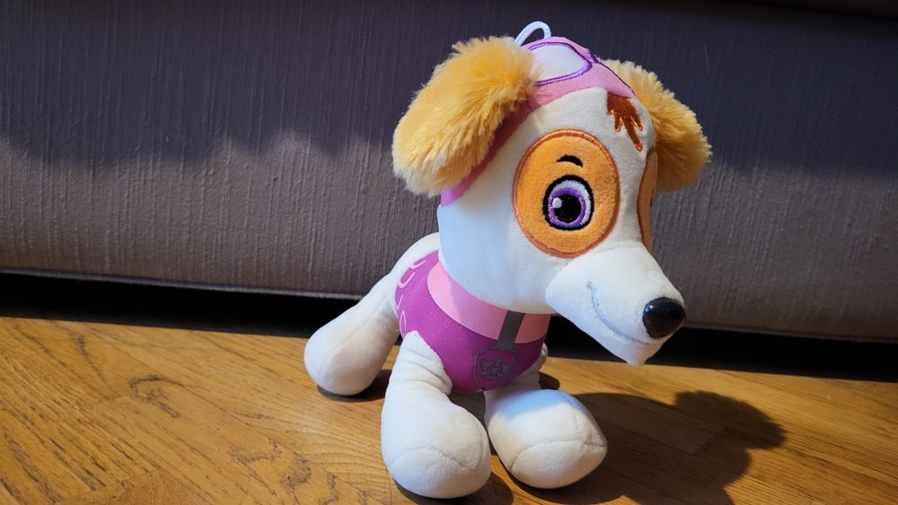 Skay z Psiego patrolu