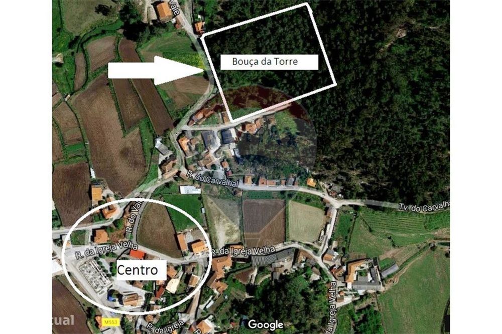 Terreno com 22.600m2 em Vilar de Figos
