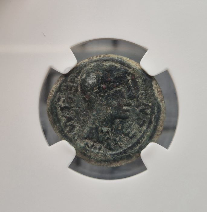 Juliusz Cezar / Oktawian August rzadka moneta rzymska - grading NGC