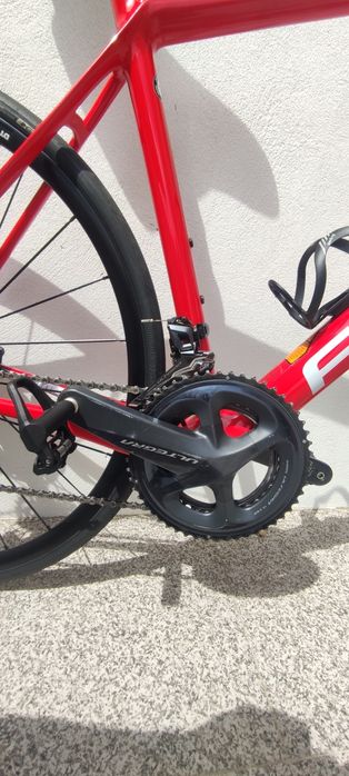 Focus izalco Race carbono