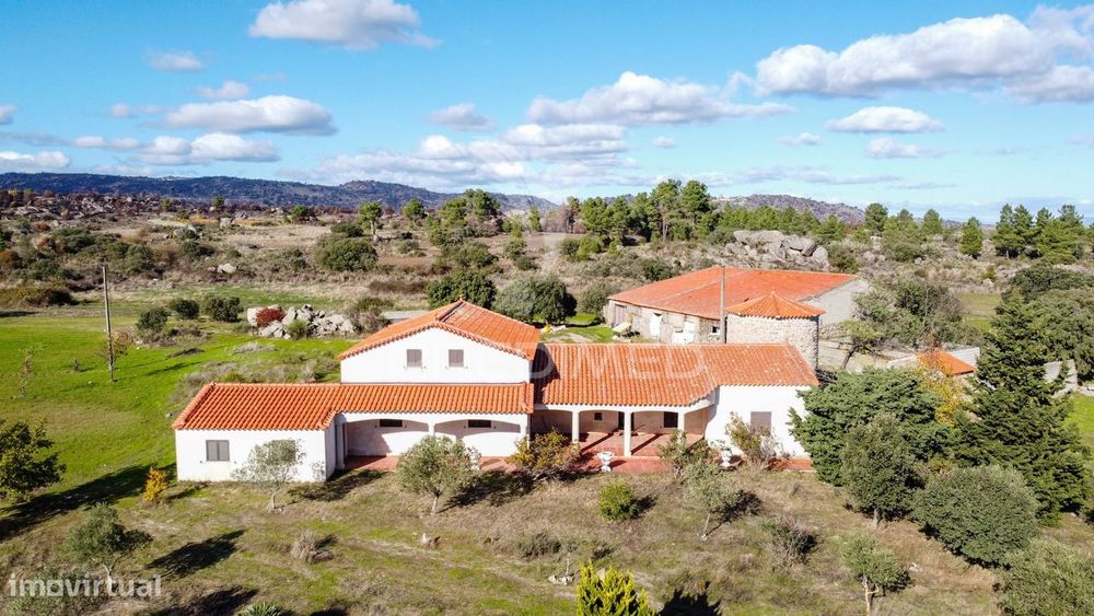 Quinta única com mais de 18 hectares junto a Marialva e ao Douro — Coriscada, Guarda