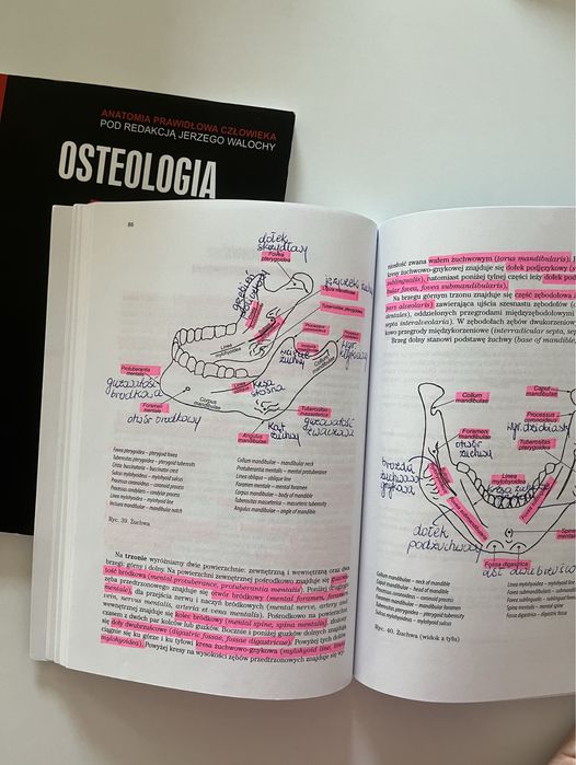 Anatomia Andrzej Skawina. Wszystkie 8 tomów, w tym 6 nowych 2 używane