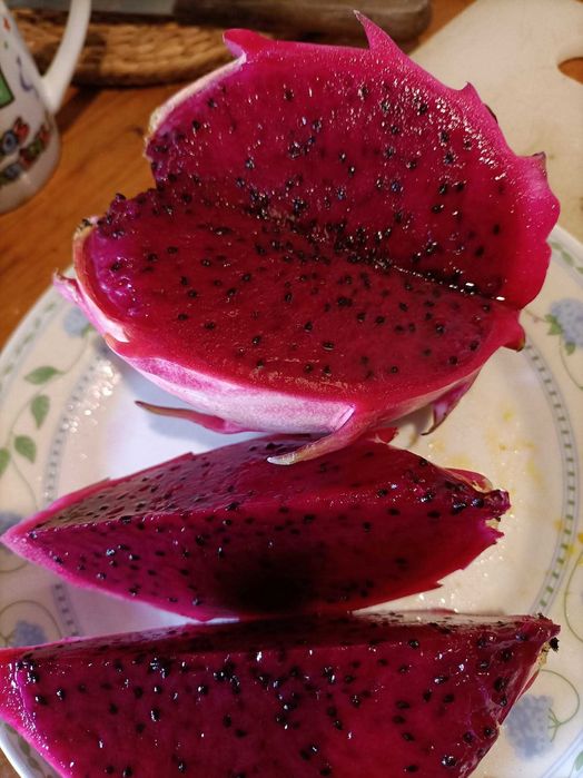 Fruta Pitaya - Dragon Fruit do Algarve