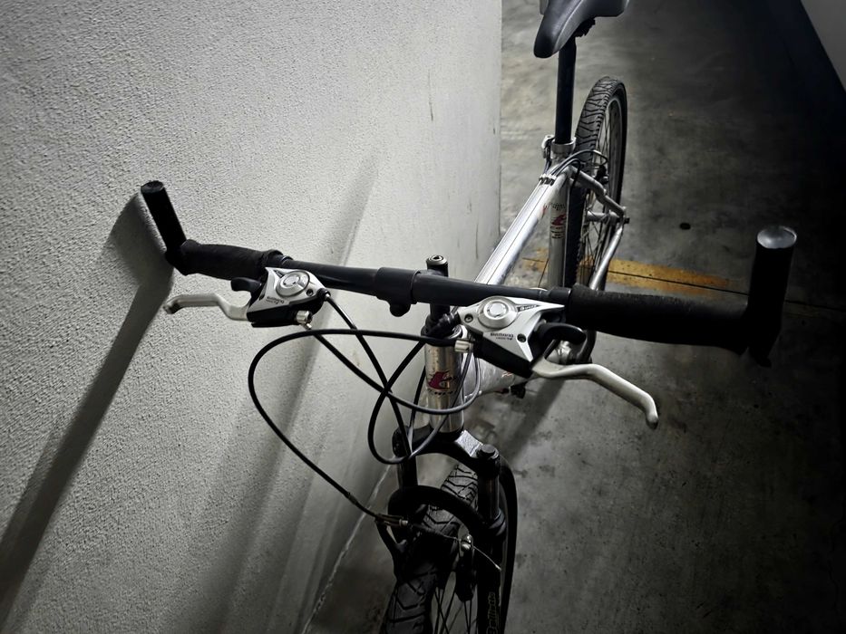 Bicicleta Esmaltina FX 500 Racing Bikes