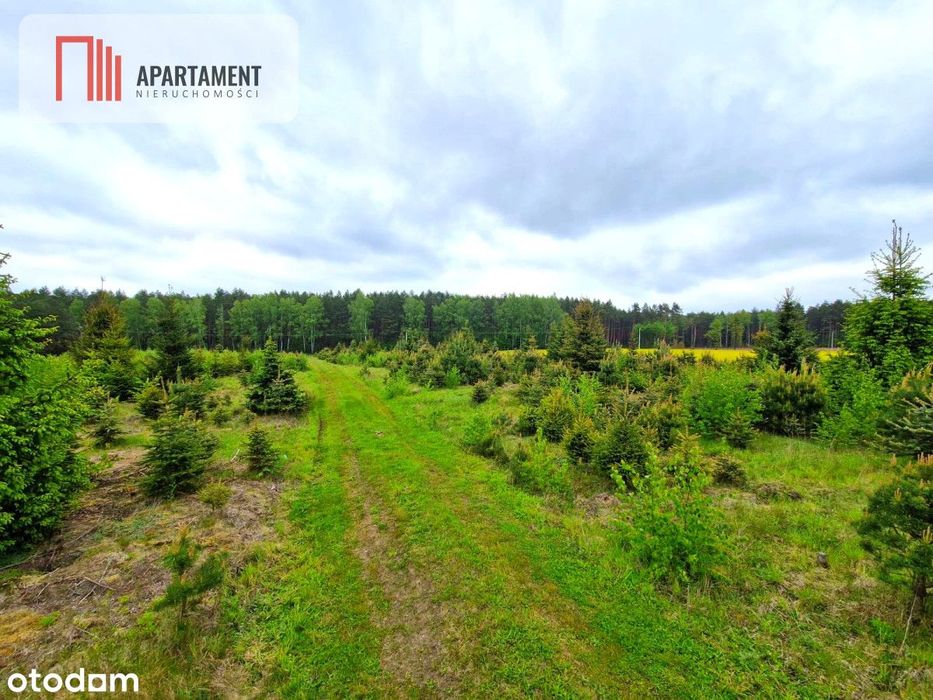 Działki w Bietowie. Promocja