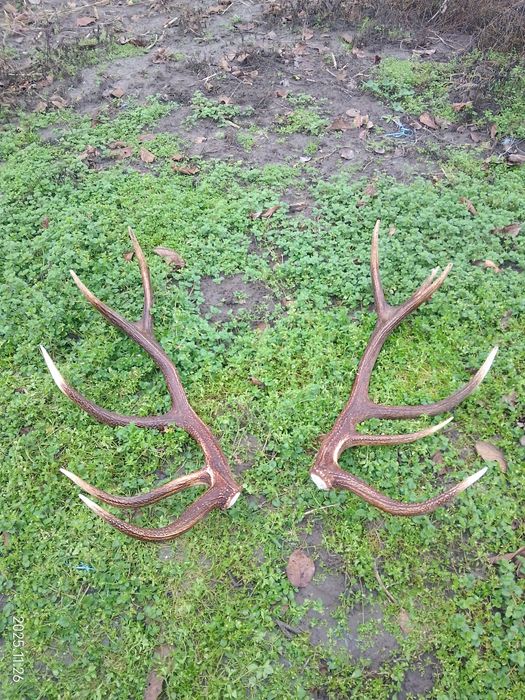 Продаю звертайтеся за телефоном