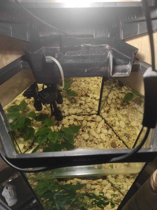 Акваріум Aquael 60 л + бонуси Аквариум