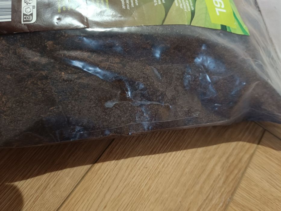 Torf substrat terrarium peat