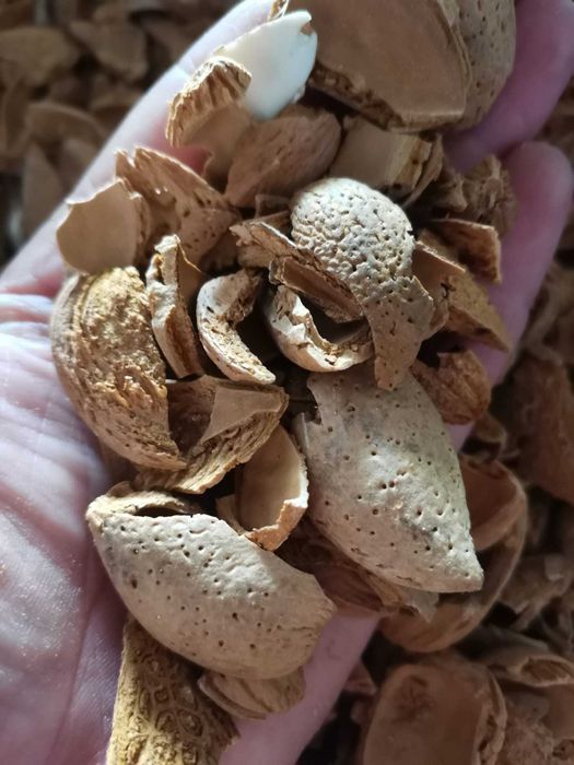 Casca de amêndoa (saco 20kg)