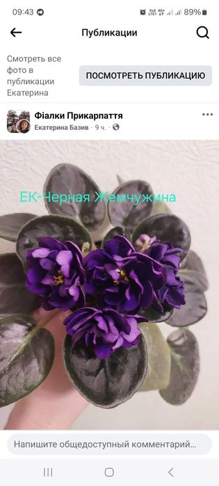 Продам свіжозрізані листочки фіалок