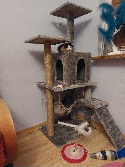 Drapak budka dla kota duży wysoki legowisko  drabinka słupek